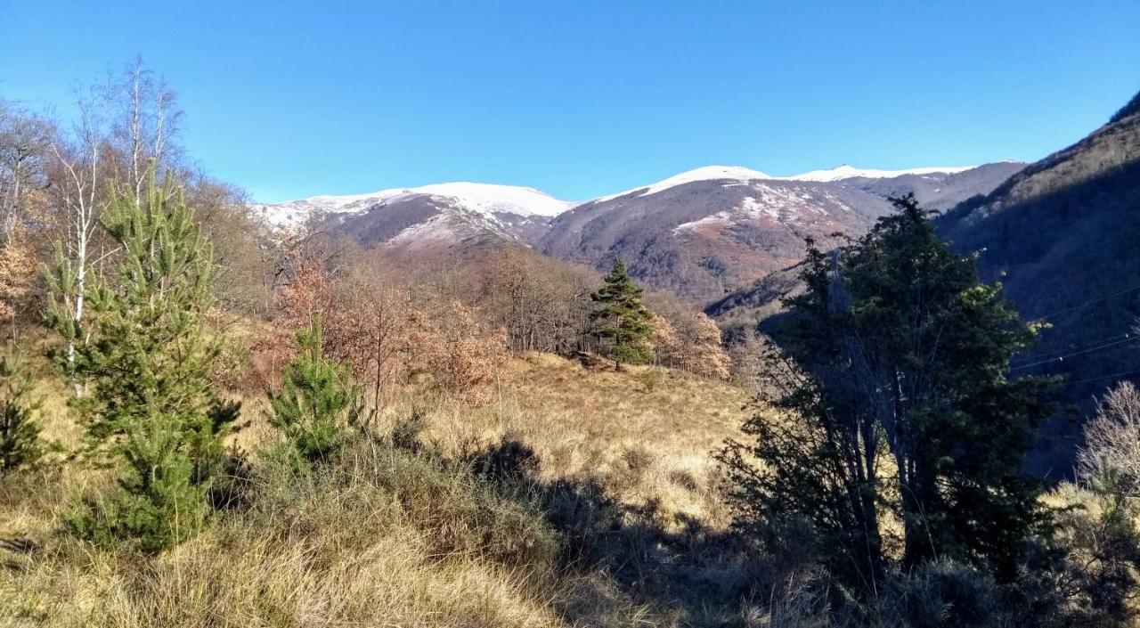 Le Nopal Bleu Apartment Tarascon-sur-Ariège Екстериор снимка